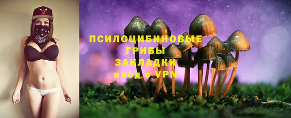 ПСИЛОЦИБИНОВЫЕ ГРИБЫ Нягань