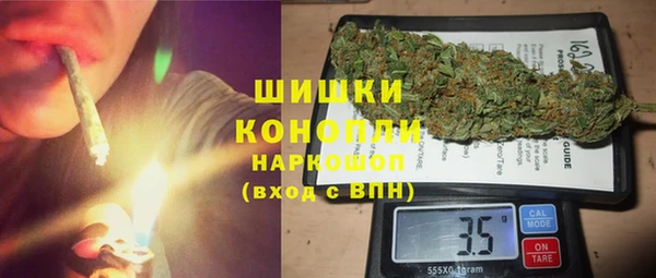 амф Новозыбков