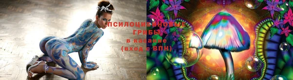 эйфоретик Новокубанск