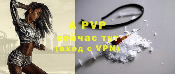 амф Новозыбков