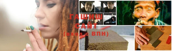 амф Новозыбков