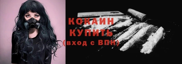 амф Новозыбков