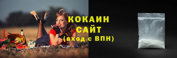 амф Новозыбков