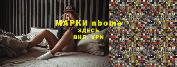 амф Новозыбков