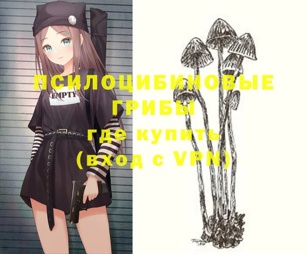 эйфоретик Новокубанск