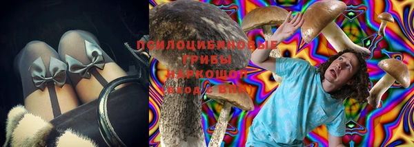 амф Новозыбков