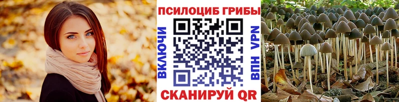 Псилоцибиновые грибы GOLDEN TEACHER  что такое   Асино 